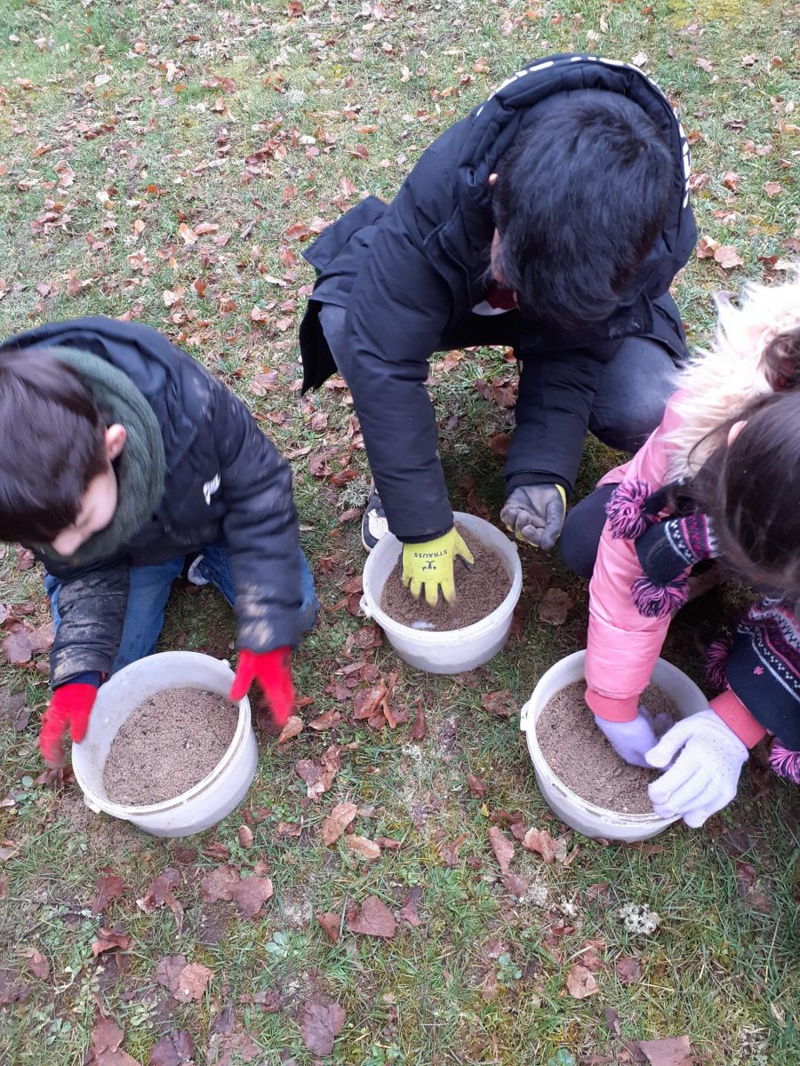 20240307_100818 (convert.io)