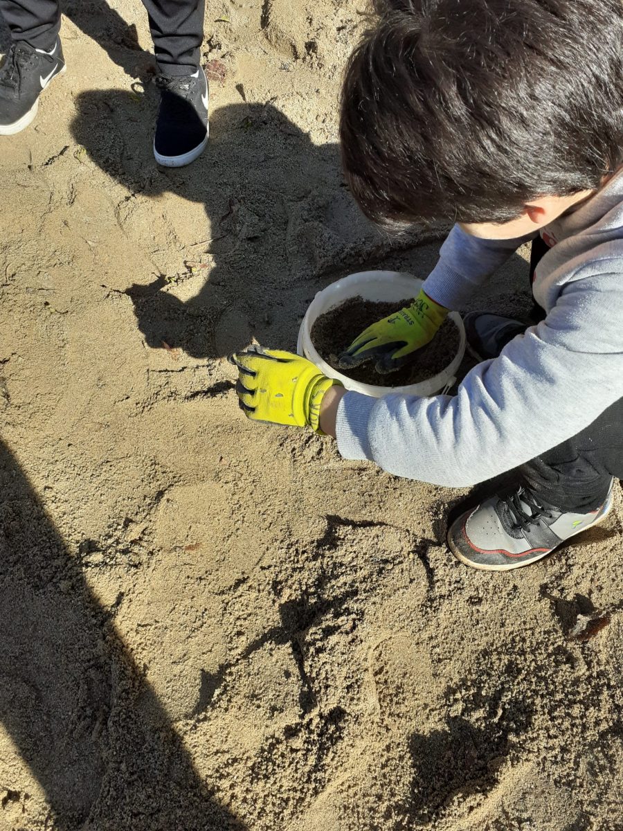 20240314_102626 (convert.io)