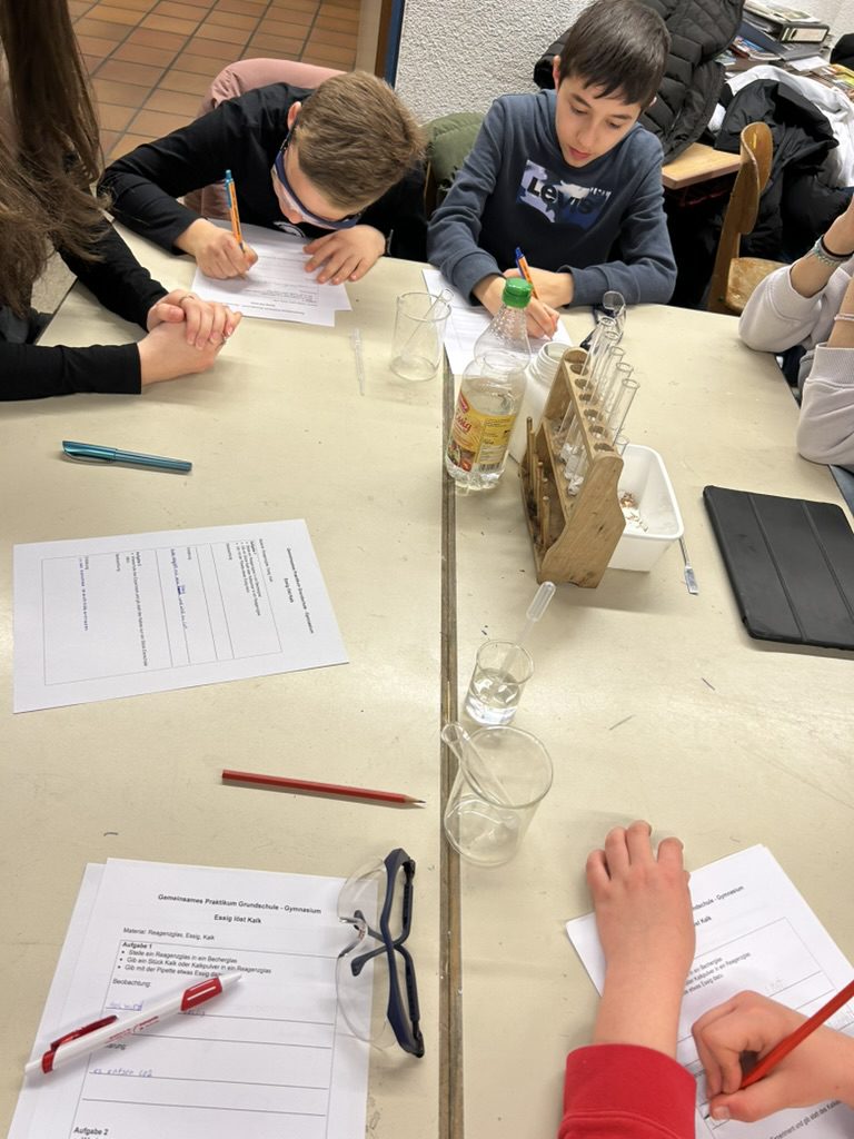 9F46148C-F4DC-4061-ACBE-8334EC670EFE_1_105_c