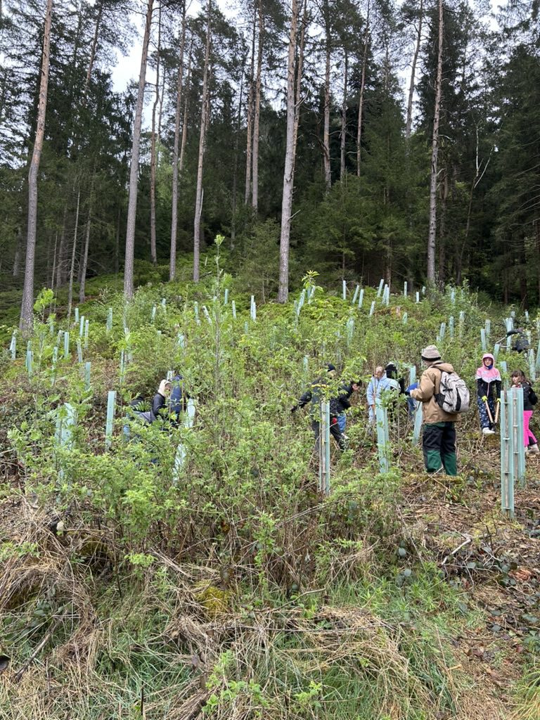 0B065C30-EC97-478D-9B7C-20AC500B6DFF_1_105_c