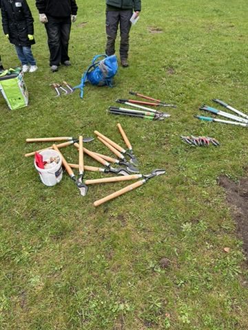 1D31B737-E88A-4E6F-9298-47C107079CA0_4_5005_c