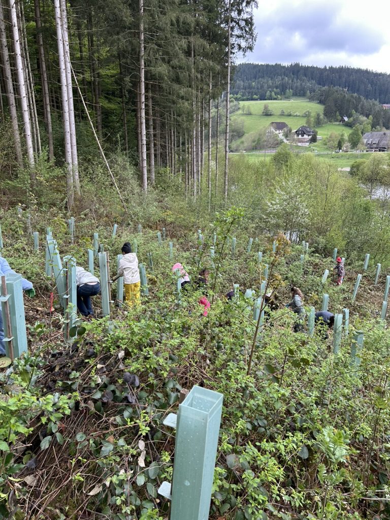 271924F2-EE3C-4B0E-8F40-319D7C40B918_1_105_c