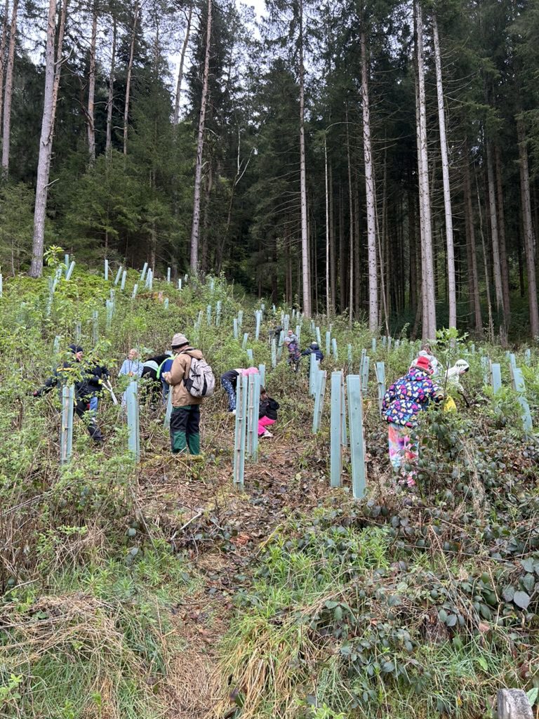 301AE2EF-8B28-4121-BE96-B5B36639A274_1_105_c