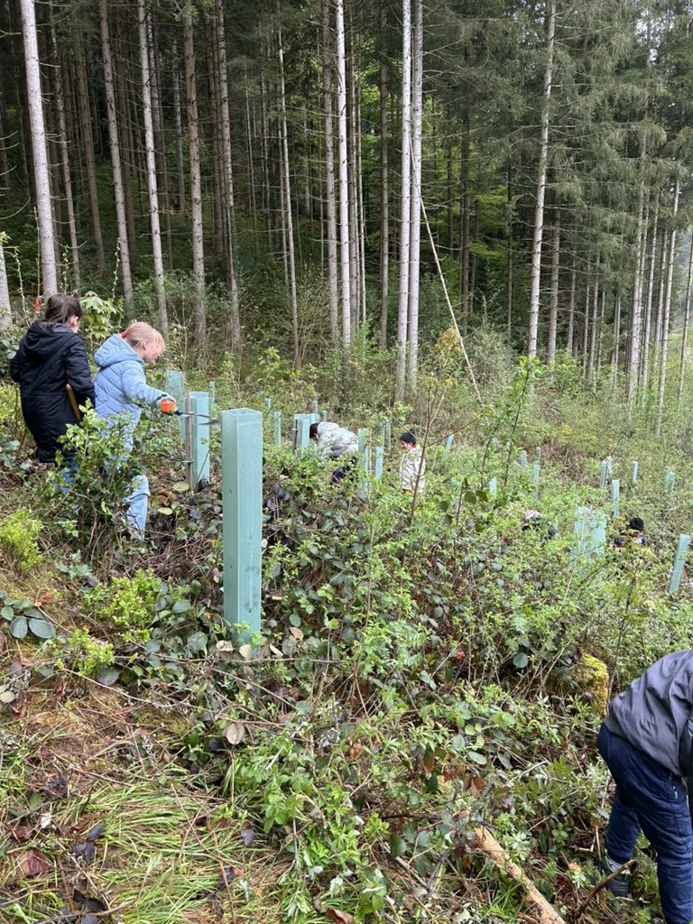 B0C99903-5797-4527-89A2-17B8FAEF1942_1_105_c