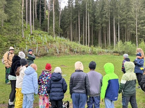 BB749C3D-E7D6-4C2C-819C-D6CF8DBB760D_4_5005_c