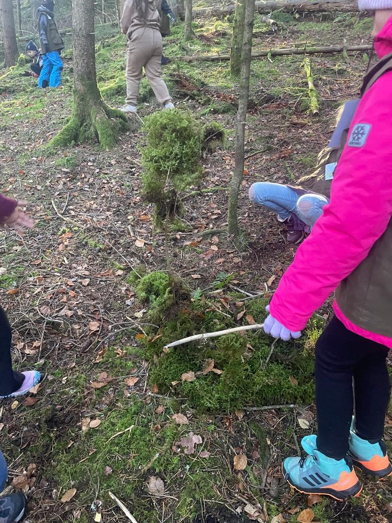 93F32000-5EC6-46BD-A6AA-324C118F1377_1_105_c