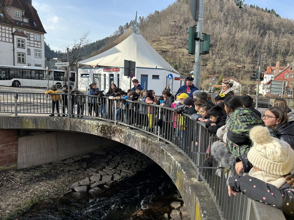 D32A5862-2D6F-43AA-8B0A-F3C9DF6BFA90_1_105_c